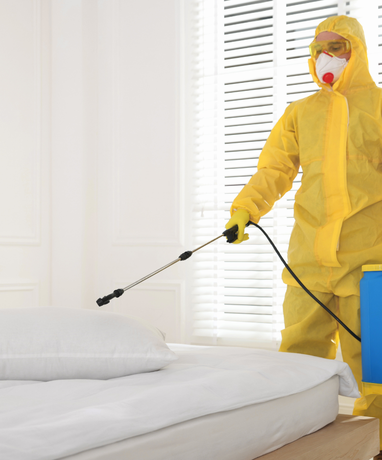 Professional Pest Control Team in Inglewood